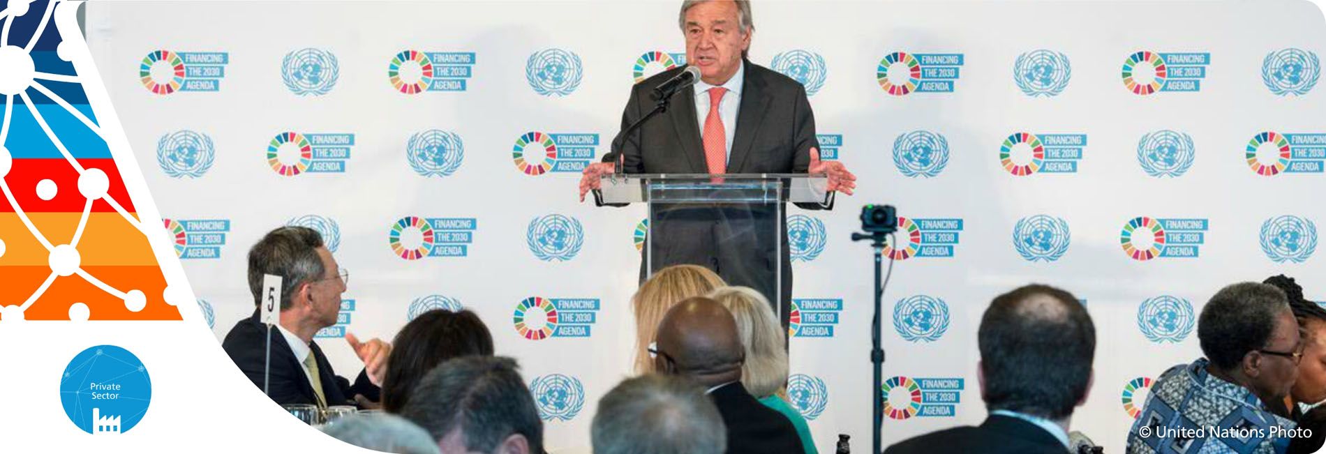 Private Sector in the Multilateral Area